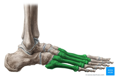 Types of Metatarsal Fractures